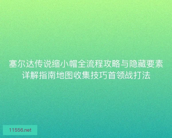 塞尔达传说缩小帽全流程攻略与隐藏要素详解指南地图收集技巧首领战打法