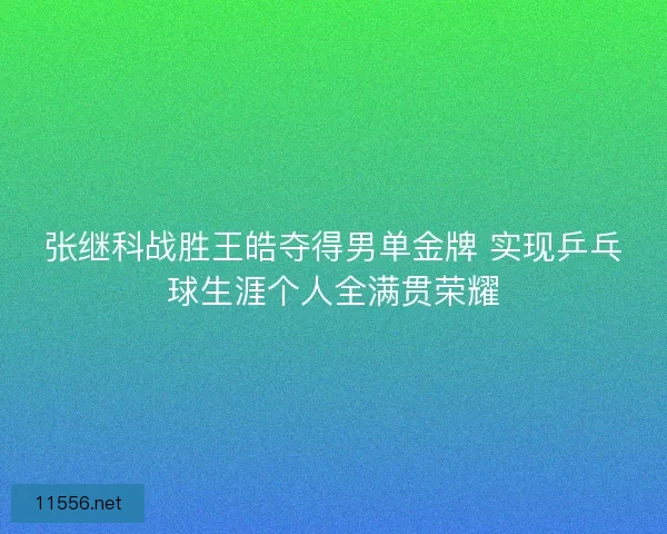 张继科战胜王皓夺得男单金牌 实现乒乓球生涯个人全满贯荣耀